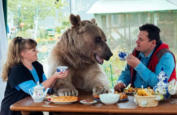 Svetlana and Yuriy Panteleenko, and their furry companion Stepan – nothing but a full grown up bear – are a happy family