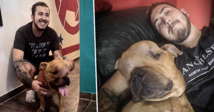 When 21-year-old Luciano met Thanos at the shelter, he was touched by his story and he immediately wanted to take him home and fill his last days with unconditial love. 