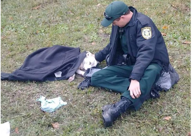 The heroic deputy warmed and comforted a cute dog: the generous man  stood until the aid arrived
