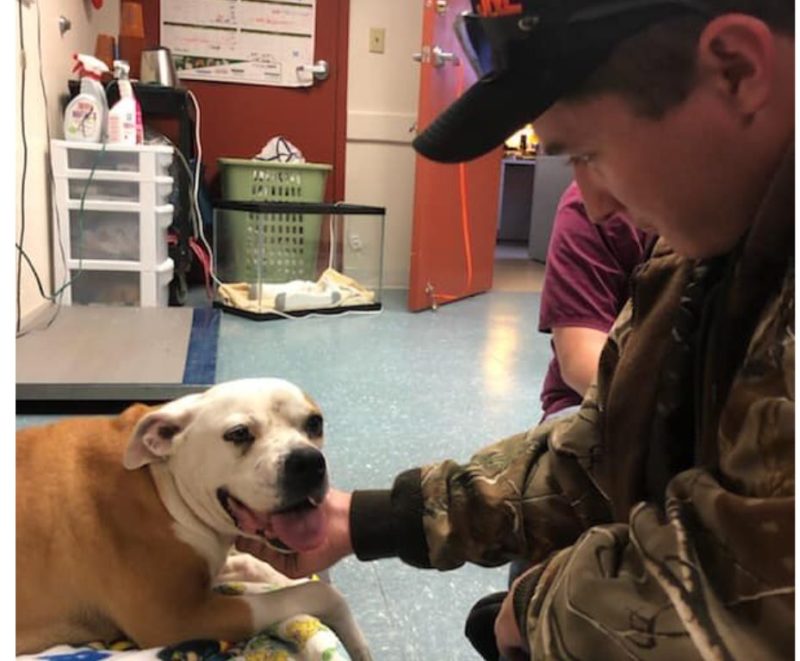 The heroic deputy warmed and comforted a cute dog: the generous man  stood until the aid arrived