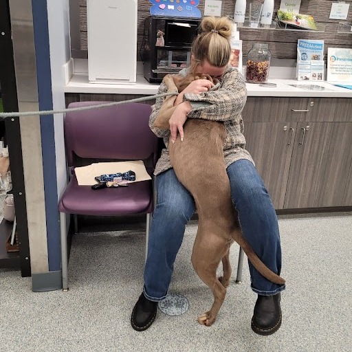 woman hugging a dog