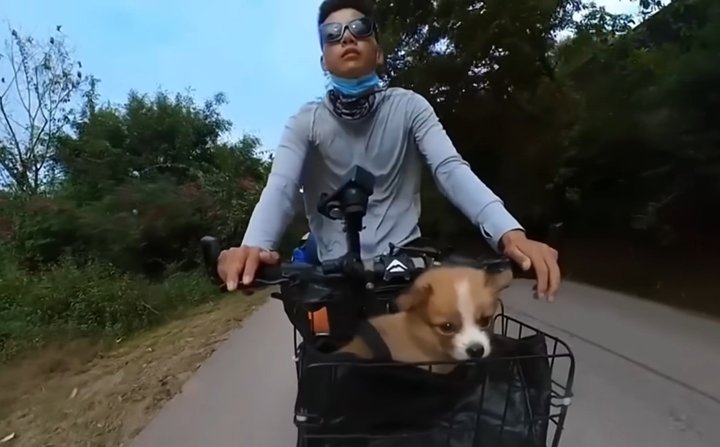 a cyclist driving a puppy