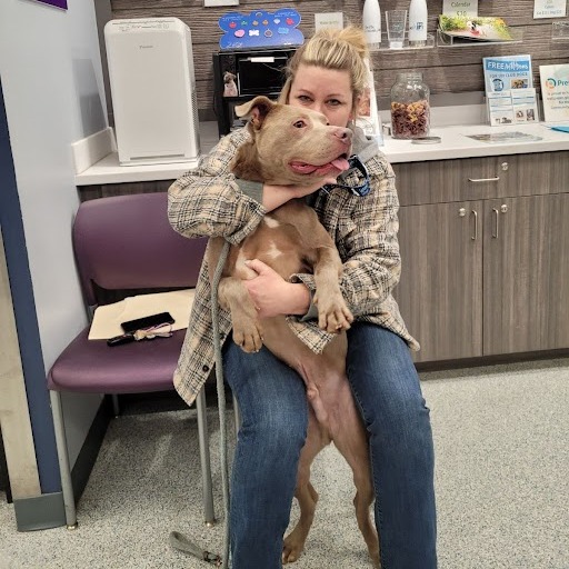 blonde woman kissing a dog