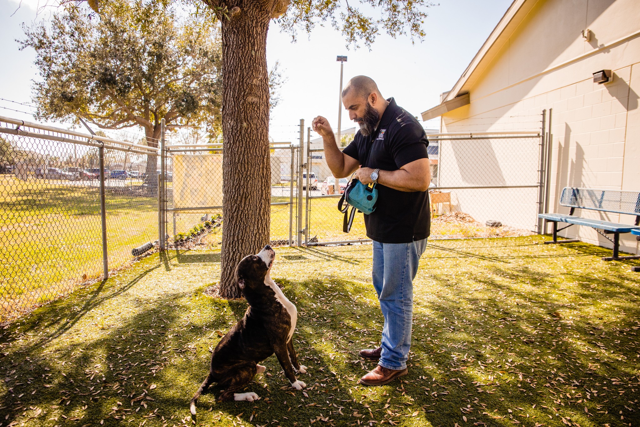 dog sitting and looking at a man holding a treat