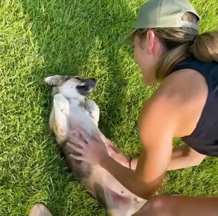 woman and dog